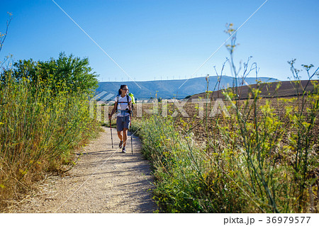 Girl trekker in campaign Girl trekker in campaign 36979577