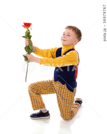 boy giving rose flower isolated 36979767