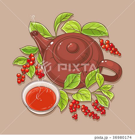 cup of schisandra tea and teapot 36980174