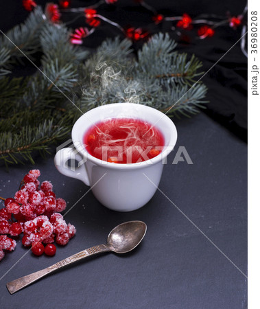 tea from fresh red viburnum in a white ceramic cup tea from fresh red viburnum in a white ceramic cup 36980208