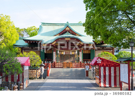 東京都 江東区 亀戸天神社 本殿 東京都 江東区 亀戸天神社 本殿 36980382
