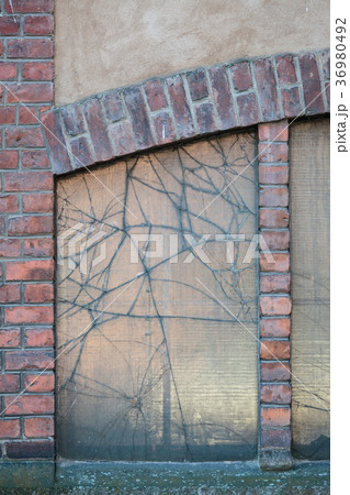 Broken window in old factory building Broken window in old factory building 36980492