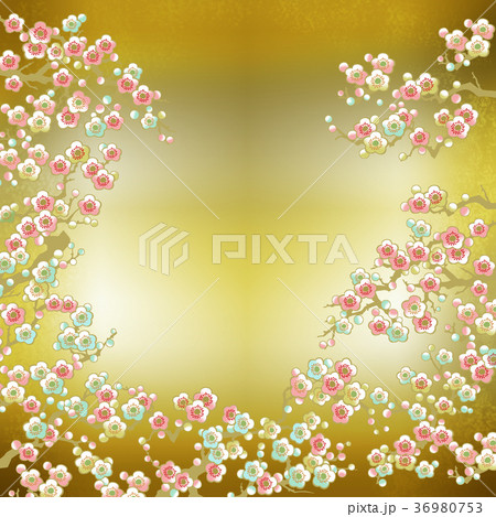 和柄　梅　背景 36980753