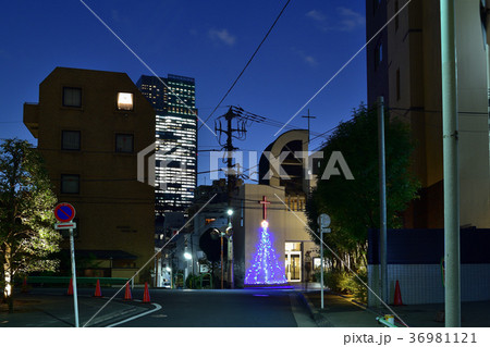 赤坂教会のクリスマスイルミネーション 赤坂教会のクリスマスイルミネーション 36981121