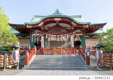 東京都 江東区 亀戸天神社 本殿 東京都 江東区 亀戸天神社 本殿 36981222