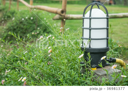 View Preview    lamp decorate in garden 36981377