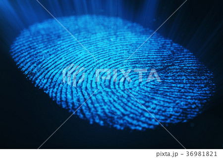 3D rendering Fingerprint Scanning Identification 36981821