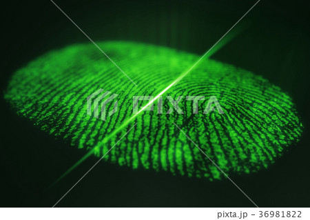 Fingerprint scanning for secure access. 3D Fingerprint scanning for secure access. 3D 36981822