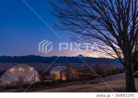 《山梨県》新日本三大夜景・笛吹川フルーツ公園の夜景 36983295