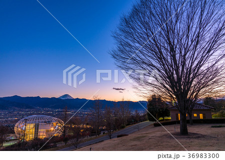 《山梨県》新日本三大夜景・笛吹川フルーツ公園の夜景 36983300