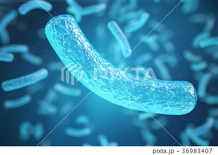3d Illustration virus, bacteria, cell infected 3d Illustration virus, bacteria, cell infected 36983407