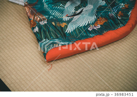 snapshot snapshot 36983451