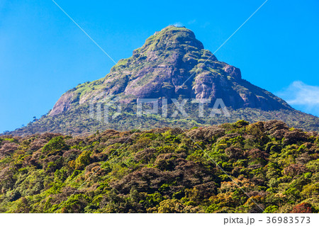 Adams Peak, Sri Lanka 36983573