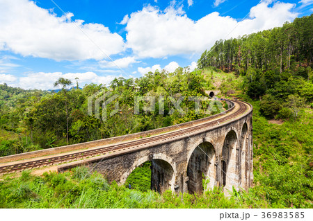 Nine Arches Demodara Bridge 36983585
