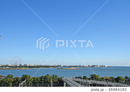 東京都江東区新木場より千葉県浦安市方面を望む 東京都江東区新木場より千葉県浦安市方面を望む 36984193