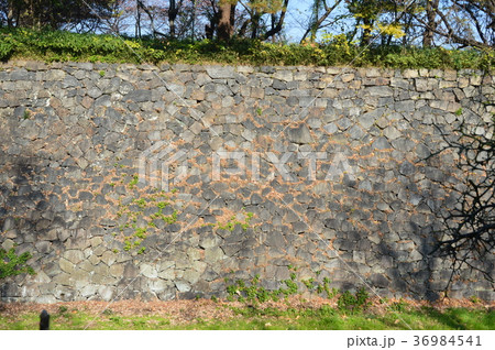 名古屋城の石垣（東南隅櫓  付近／愛知県名古屋市） 36984541