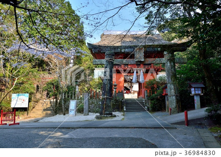 六殿神社 六殿宮社務所 六殿神社 六殿宮社務所 36984830