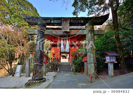 六殿神社 六殿宮社務所 六殿神社 六殿宮社務所 36984832