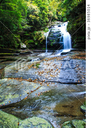 つがね落しの滝の秋景色　長崎県西海市 36985014