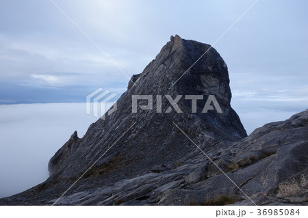 キナバル山 36985084