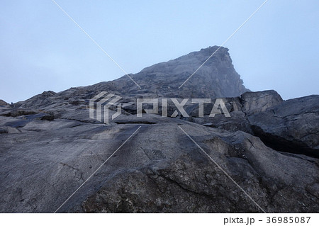 キナバル山 36985087