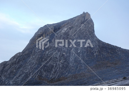 キナバル山 36985095