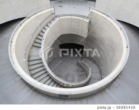 兵庫県立美術館 兵庫県立美術館 36985436