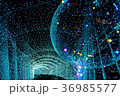 星明かり 星 スター 36985577