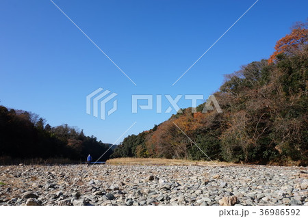 嵐山渓谷　埼玉　嵐山 36986592