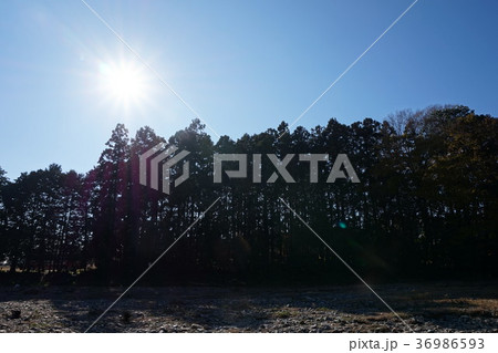嵐山渓谷　埼玉　嵐山 36986593