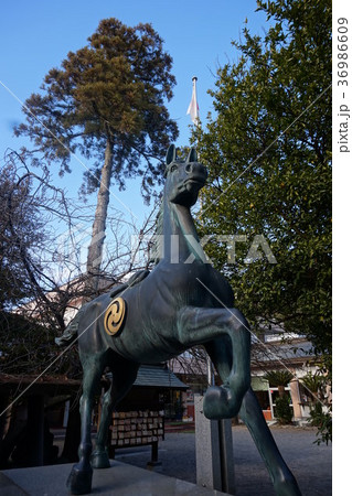 進雄神社　すさのおじんじゃ　群馬　高崎 36986609