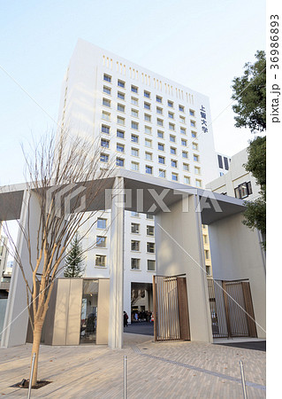 上智大学 36986893