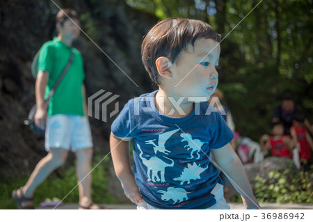 3 years old 3 years old 36986942