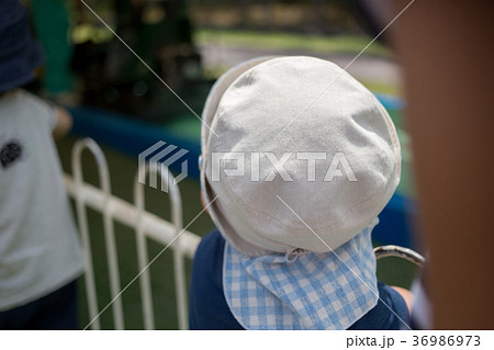 3 years old 36986973