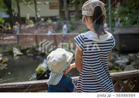 3 years old　&　8 years old 36986984