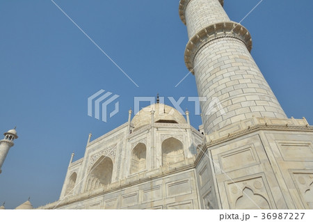 タージ・マハル 36987227