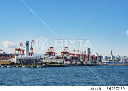 本牧埠頭D突堤(横浜市) 本牧埠頭D突堤(横浜市) 36987229