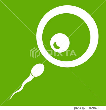 Donor sperm icon green 36987656