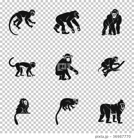 Tropical monkey icon set, simple style Tropical monkey icon set, simple style 36987770