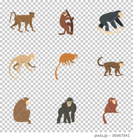 Jungle monkey icon set, flat style Jungle monkey icon set, flat style 36987841