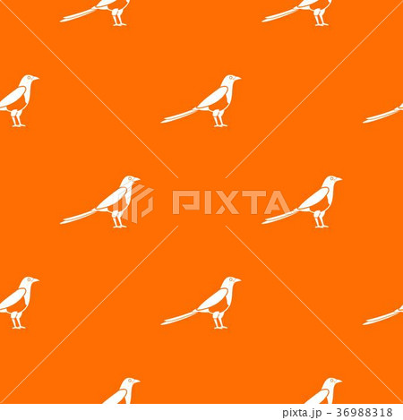 Bird magpie pattern seamless 36988318