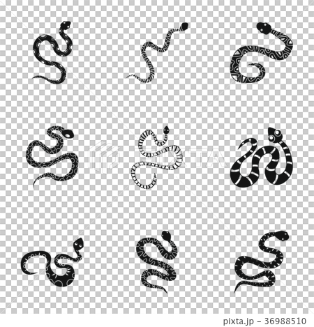 Tattoo snake icon set, simple style Tattoo snake icon set, simple style 36988510