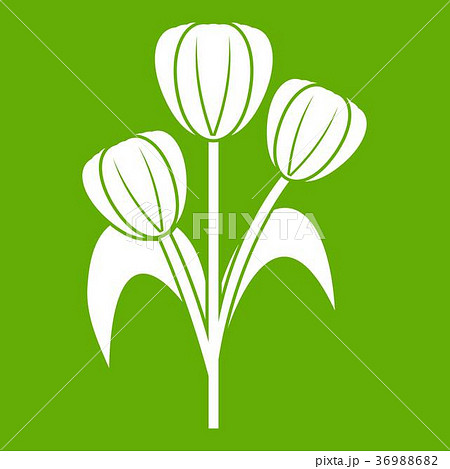 Flowers icon green 36988682