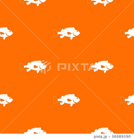 Sea bass fish pattern seamless 36989390