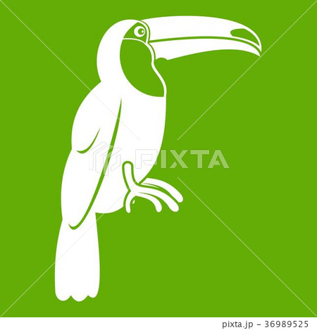 Brazilian toucan icon green 36989525
