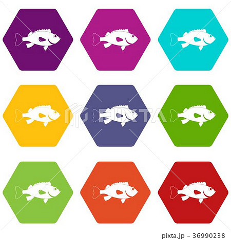 Sea bass fish icon set color hexahedron 36990238