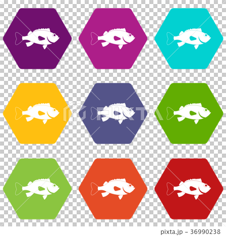 Sea bass fish icon set color hexahedron 36990238