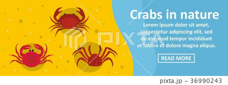 Crabs in nature banner horizontal concept 36990243