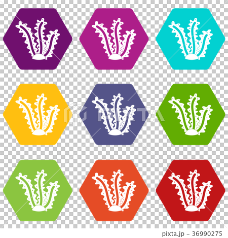 Seaweed icon set color hexahedron 36990275