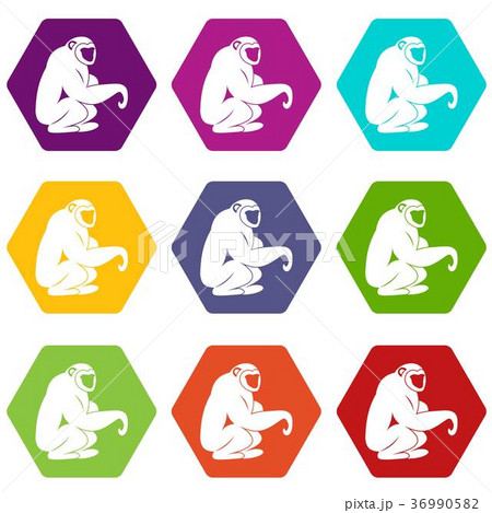 Monkey sitting icon set color hexahedron Monkey sitting icon set color hexahedron 36990582